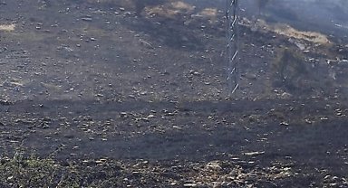 Siirt'te mera yangını: 50 dönümlük alan kül oldu