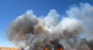 Siirt'te yüzlerce dönüm buğday arazisi yangında kül oldu