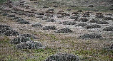 Şırnak'ta kış hazırlığı başladı