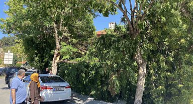 Sivas Valiliği uyarmıştı, rüzgar hasara yol açtı