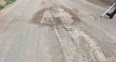 Sivas'ta odun yığınlarının arasına giren yılan itfaiye ekiplerini harekete geçirdi