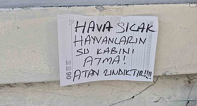 Sokak hayvanlarının su kabını atanlara ilginç tepki: "Atan zındıktır"