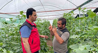 Sulu tarım mevsimlik tarım işçiliğini bitirdi