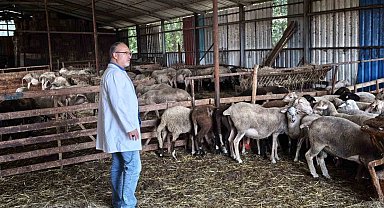 Süt kalitesi ve hayvan sağlığı güvence altında
