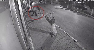 Takıntılı takip vahşetinde flaş karar: Serbest kalan saldırgana yeniden tutuklama yolu