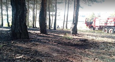 Tavşanlı'da erken müdahale ormanı kurtardı