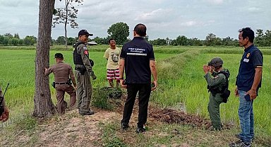 Tayland'da evcil köpek, eve el bombası getirdi