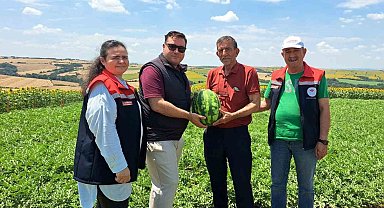 Tekirdağ'da ilk karpuz hasadı başladı