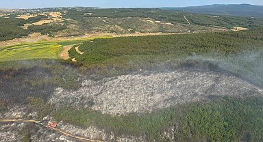 Tekirdağ'da orman yangını: Ekipler havadan ve karadan seferber oldu