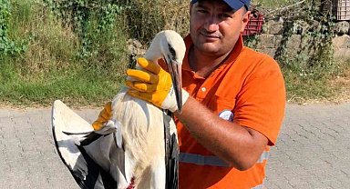 Temizlik personelinin duyarlılığı yaralı Leyleğe umut oldu