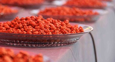 Uluslararası Hitit Fuar ve Festivali'nde Çorum'un en iyi leblebileri yarıştı