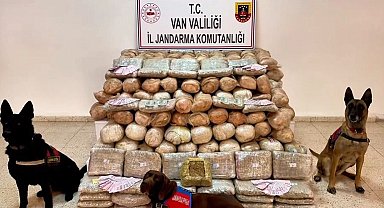 Van'da 333 kilo skunk ele geçirildi