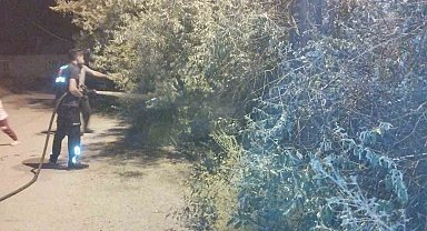 Van'da bahçe yangını korkuttu