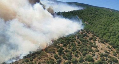 Yalova'daki orman yangını söndürüldü, bölgede soğutma çalışmaları sürüyor