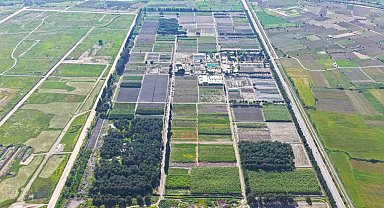 Yeşil vatan için fidan seferberliği sürüyor