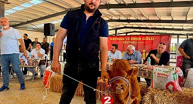 Yılın en güzel buzağısı 40 günlük buzağı oldu