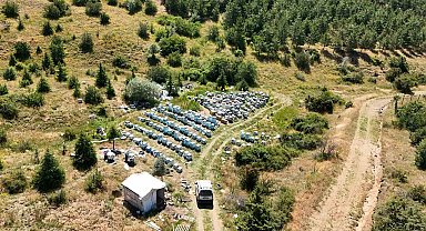 Yozgat'ın zengin bitki örtüsü arıcılara umut oldu