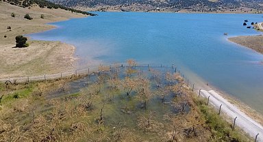 Yozgat'ta badem ağaçları sular altında kaldı