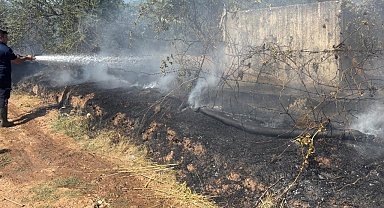Zeytinlik alanda çıkan yangın, büyümeden söndürüldü