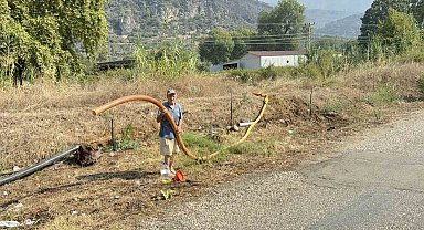 Zeytinlikleri kül oldu, gözyaşını içine akıtıp yangına su taşıdı