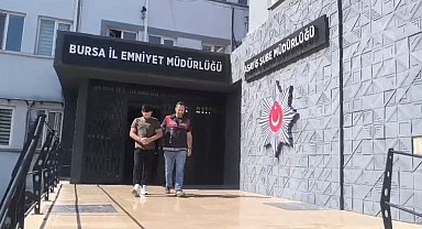 250 saatlik kamera kaydı izlediler, inşaat farelerini böyle çözdüler