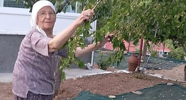 85 yaşındaki çift, geleneksel yöntemlerle dut pekmezi üretimini sürdürüyor