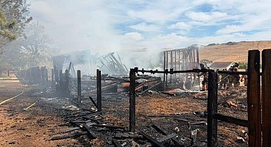 ABD'nin Nevada eyaletindeki orman yangınında 32 ev kül oldu
