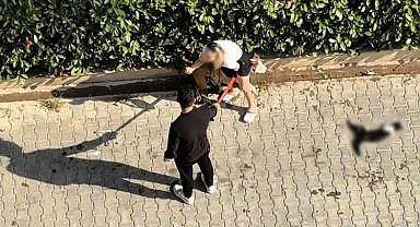 Adana'da kediyi parçalayan pitbullun sahibine 95 bin lira ceza