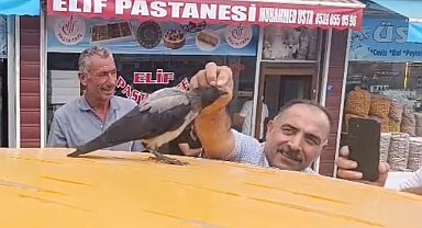 Adilcevaz'da kasap ile karga arasındaki sıra dışı dostluk gülümsetti