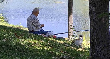 Akıllı sokak kedisi balık tutan adamın başından ayrılmadı