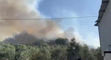 Aksu'da ormanlık ve zeytinlik alanda yangın