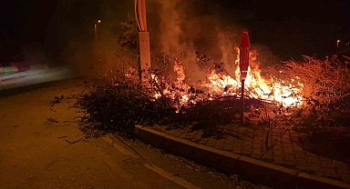 Alaca'da çıkan örtü yangını söndürüldü