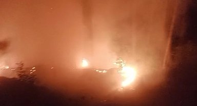 Alanya'da ormanlık alan yangınında 2 dönüm alan zarar gördü