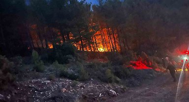 Alanya'da ormanlık alanda çıkan yangın kontrol altına alındı