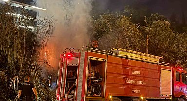 Alanya'da sazlık alanda yangın