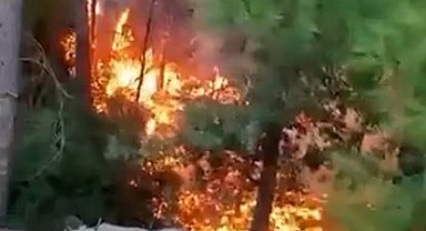 Alanya'da yıldırımın düşmesiyle yangın çıktı: 1 dönüm alan zarar gördü