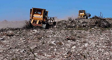 Aliağa ve Foça'daki yanan orman alanlarında ağaçlandırma çalışmaları sürüyor