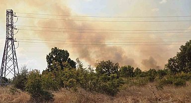 Anız yangını ormana sıçradı, ekipler seferber oldu