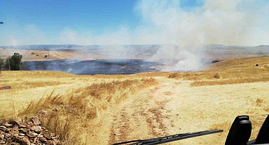 Anız yangınında yaklaşık 300 dönüm arazi yandı