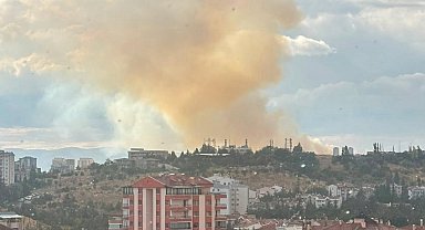 Ankara'da otluk alanda yangın çıktı