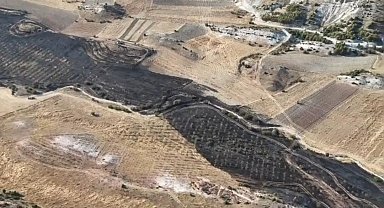 Ankara'da tarım arazisinde çıkan yangın ormana sıçramadan söndürüldü