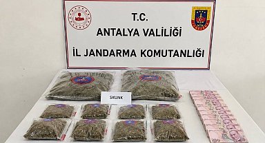 Antalya'da 5 kilogram skunk esrar maddesi ele geçirildi
