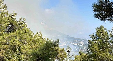 Antalya'da iki ilçede çıkan orman yangınına müdahale ediliyor
