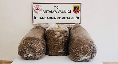 Antalya'da kaçak tütün operasyonunda 365 kilo tütün ele geçirildi