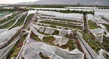 Antalya'da üreticilere 1 yılda 657 bin 400 metrekare sera naylonu hibe edildi
