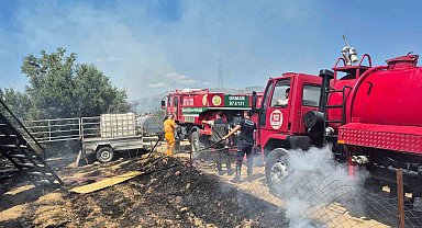 Antik kente yakın zeytinlik alanda yangında 1,25 dönüm zarar gördü