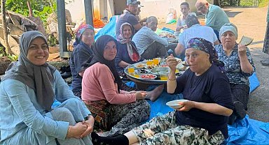 Apar topar İstanbul'a gittiler, yarım kalan fındık hasadını köylüler tamamladı
