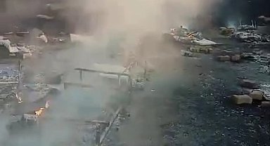 Arılıkta çıkan yangında çok sayıda arı telef oldu
