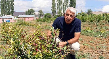 Aronya ile ilçeyi kalkındıracaklar