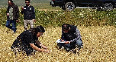 Aşırı yağış ve dolu nedeniyle zarar gören arazilerde hasar tespiti yapıldı